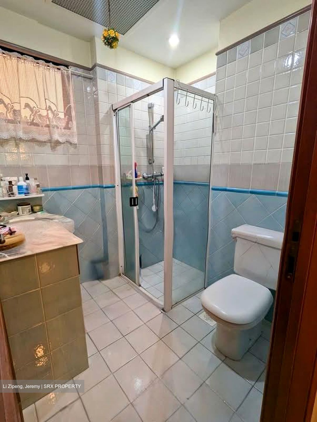 Dover Parkview (D5), Condominium #539094851
